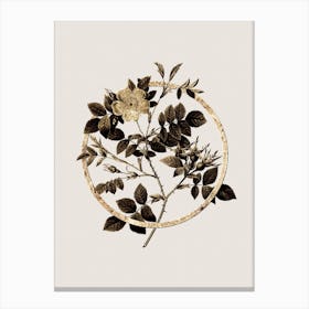 Gold Ring Malmedy Rose Glitter Botanical Illustration Canvas Print