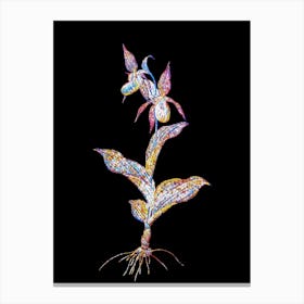Stained Glass Lady's Slipper Orchid Mosaic Botanical Illustration on Black n.0048 Canvas Print