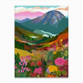 Abstract Mountain Colorful Acrylic Canvas Print