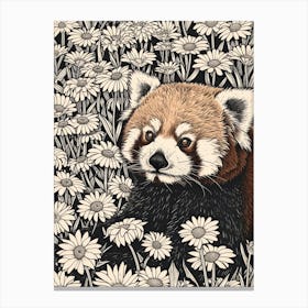 Red Panda Resting In A Field Of Daisies Ink Illustration 4 Canvas Print