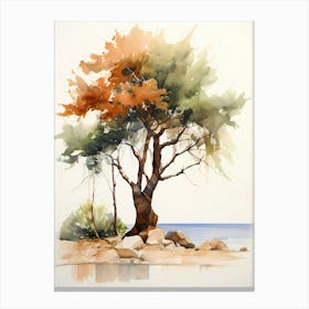 Watercolor Tree On The Beach Canvas Print