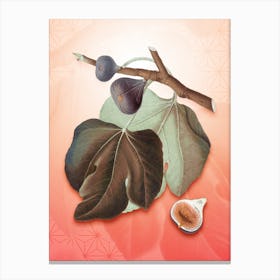 Black Fig Vintage Botanical in Peach Fuzz Asanoha Star Pattern n.0103 Canvas Print