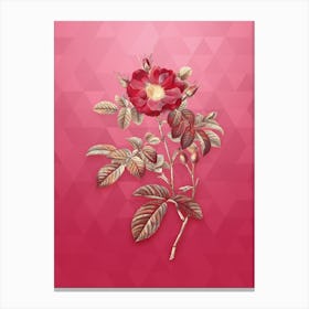 Vintage Red Portland Rose Botanical in Gold on Viva Magenta n.0705 Canvas Print