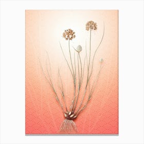 Allium Globosum Vintage Botanical in Peach Fuzz Seigaiha Wave Pattern n.0236 Canvas Print