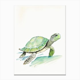 Conservation Sea Turtle, Sea Turtle Pencil Illustration 1 Canvas Print