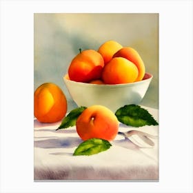 Apricot Italian Watercolour fruit Canvas Print