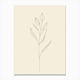 Line Drawing Of A Plant Canvas Print