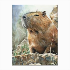 Capybara Pastel Watercolour 2 Canvas Print