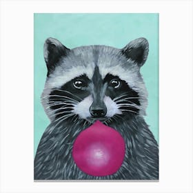 Raccoon With Bubblegum Canvas Print