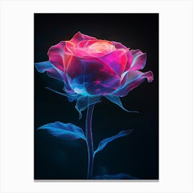 Pink Rose On Black Background Canvas Print