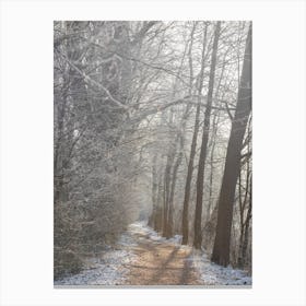 Frosty Path In The Woods Canvas Print