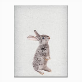 Frolein Rabbit II Canvas Print