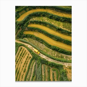 Aerial View Of Rice Fields Canvas Print