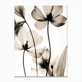 Black And White Flower Silhouette 7 Canvas Print