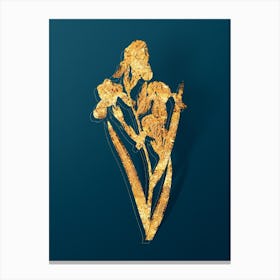 Vintage Elder Scented Iris Botanical in Gold on Teal Blue n.0246 Canvas Print