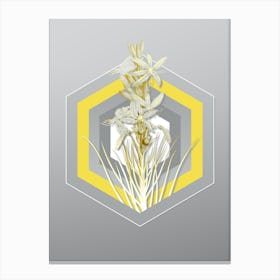 Botanical Yellow Asphodel in Yellow and Gray Gradient n.178 Canvas Print