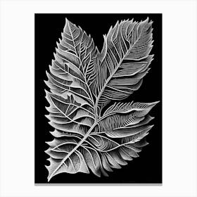 Sweet Birch Leaf Linocut 1 Canvas Print
