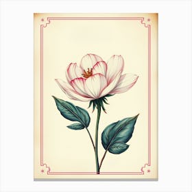 Vintage Peony Flower Canvas Print