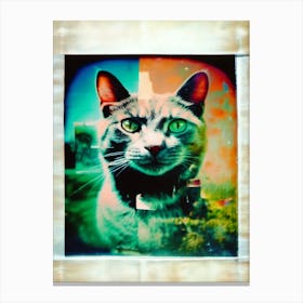 Cat Portrait Polaroid Canvas Print