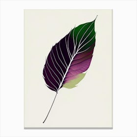 Basil Leaf Abstract Canvas Print