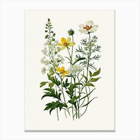 Vintage Botanical Galleria Style Wildflower Painting 44 Canvas Print