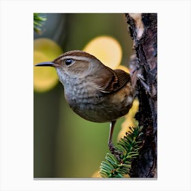 House Wren -Reimagined 4 Canvas Print