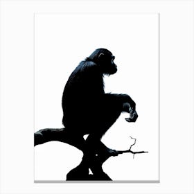 Thinker Monkey Silhouette Photography 5 Canvas Print