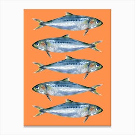 Sardines On A Orange Background Print Canvas Print