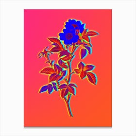 Neon White Anjou Roses Botanical in Hot Pink and Electric Blue n.0056 Canvas Print
