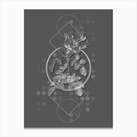 Vintage Four Seasons Rose in Bloom Botanical with Line Motif and Dot Pattern in Ghost Gray n.0128 Canvas Print