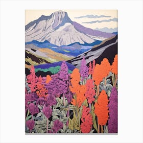 Mount St Helens United States 7 Colourful Mountain Illustration Canvas Print