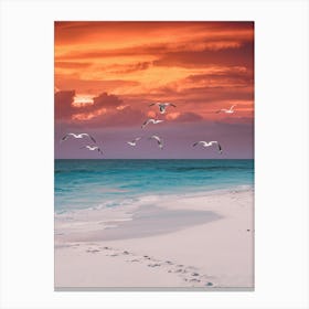 Seagulls On The Beach Canvas Print