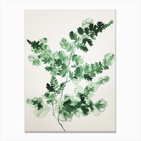 Green Ink Painting Of A Ribbon Fern 3 Canvas Print