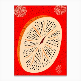 Melon On Red Background Canvas Print