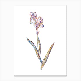 Stained Glass Tall Bearded Iris Mosaic Botanical Illustration on White n.0101 Canvas Print