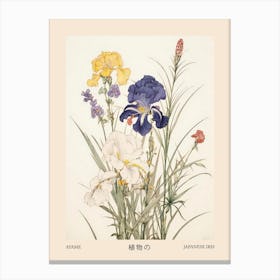 Ayame Japanese Iris 4 Vintage Japanese Botanical Poster Canvas Print