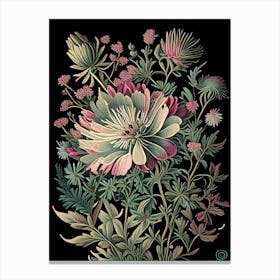 Aster 3 Floral Botanical Vintage Poster Flower Canvas Print