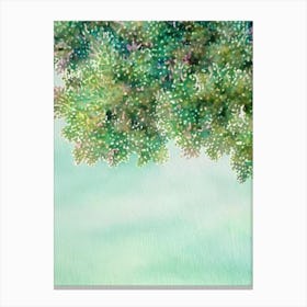 Acropora Millepora Iiii Storybook Watercolour Canvas Print