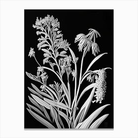 Prairie Milkweed Wildflower Linocut 1 Canvas Print