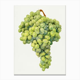 Green Grapes Canvas Print