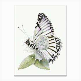 Marbled White Butterfly Decoupage 1 Canvas Print