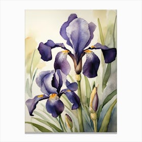 France Flower Iris Watercolor Painting Canvas Print