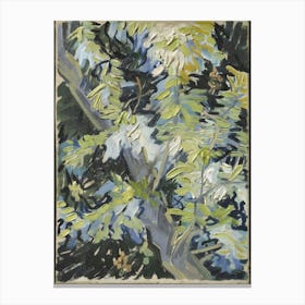 Cypress Tree Canvas Print