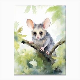 Light Watercolor Painting Of A Common Brushtail Possum 2 Canvas Print