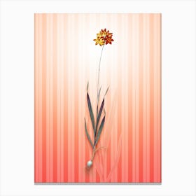 Orange Ixia Vintage Botanical in Peach Fuzz Awning Stripes Pattern n.0196 Canvas Print