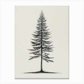 Pine Tree Minimalistic Drawing 1 Canvas Print