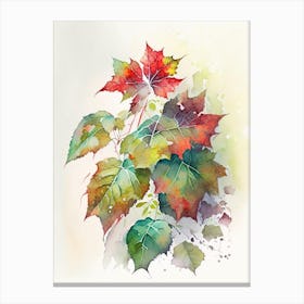 Western Poison Ivy Pop Art 3 Canvas Print
