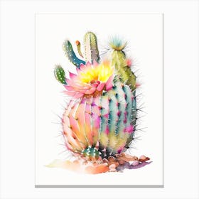 Pincushion Cactus Storybook Watercolours Canvas Print