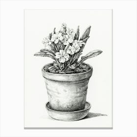 Potted Plant, Jean Bernard Canvas Print