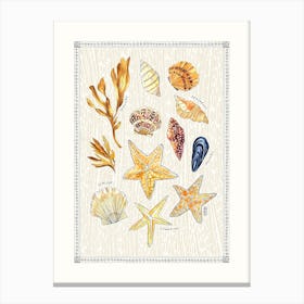 Ocean Treasures Brown & Beige Canvas Print